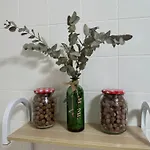 Apartamento Itos Flats Infiesto